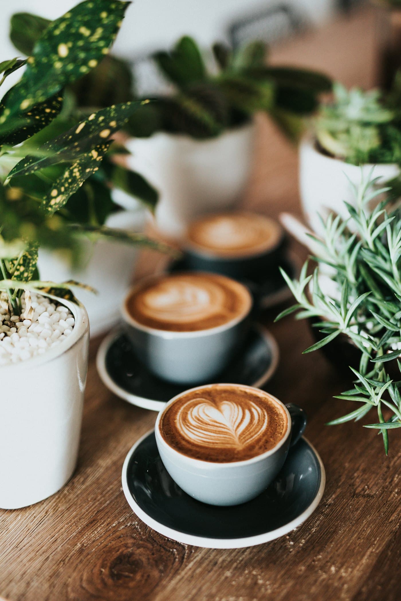 Pouring milk into a fresh latte